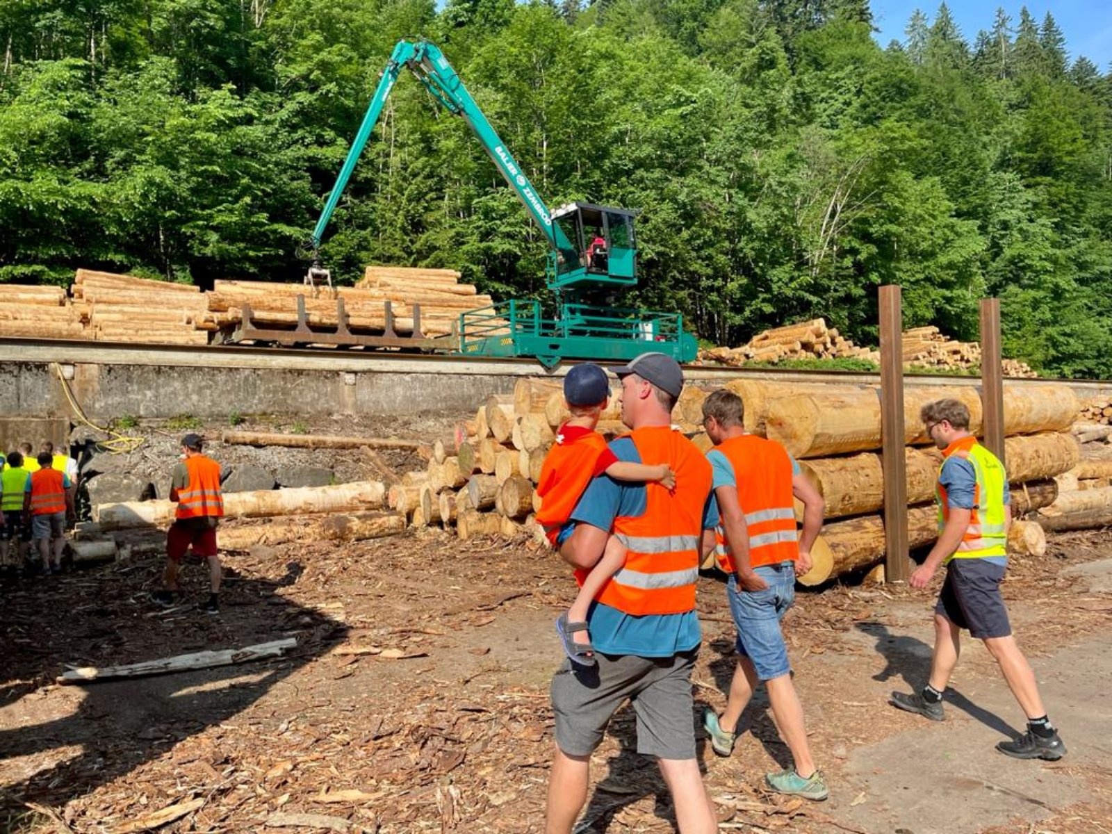 holz-und-forstservice-allg-u-beratung-holzernte-und-holzhandel