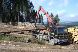 Holzhandel
